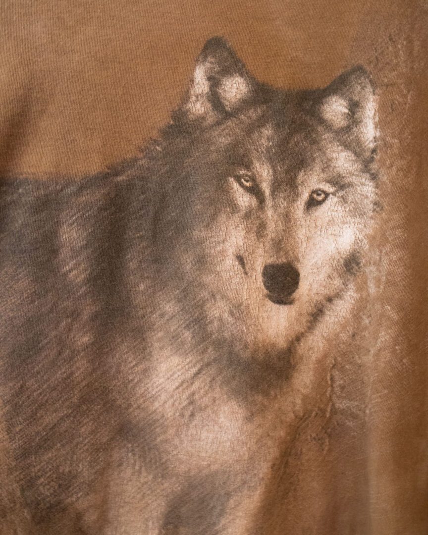 DH | Wolf LS T-shirt